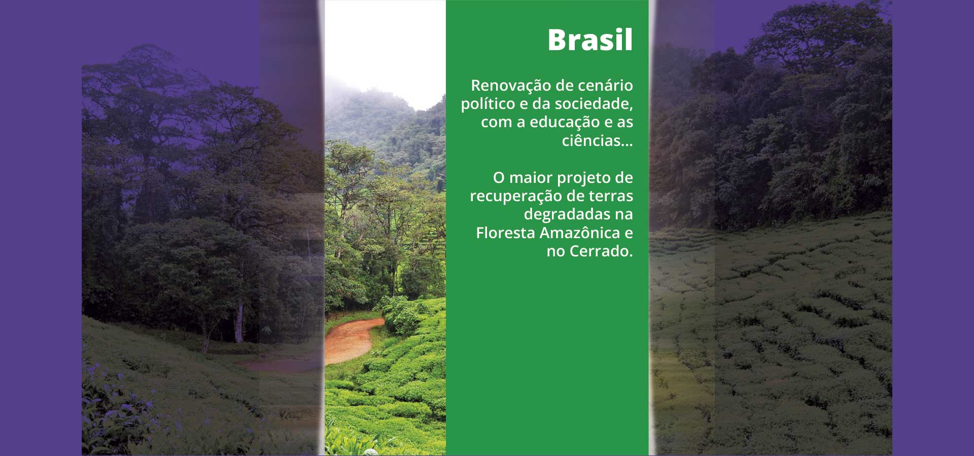 Brasil - Renovação de cenário político e da sociedade...
