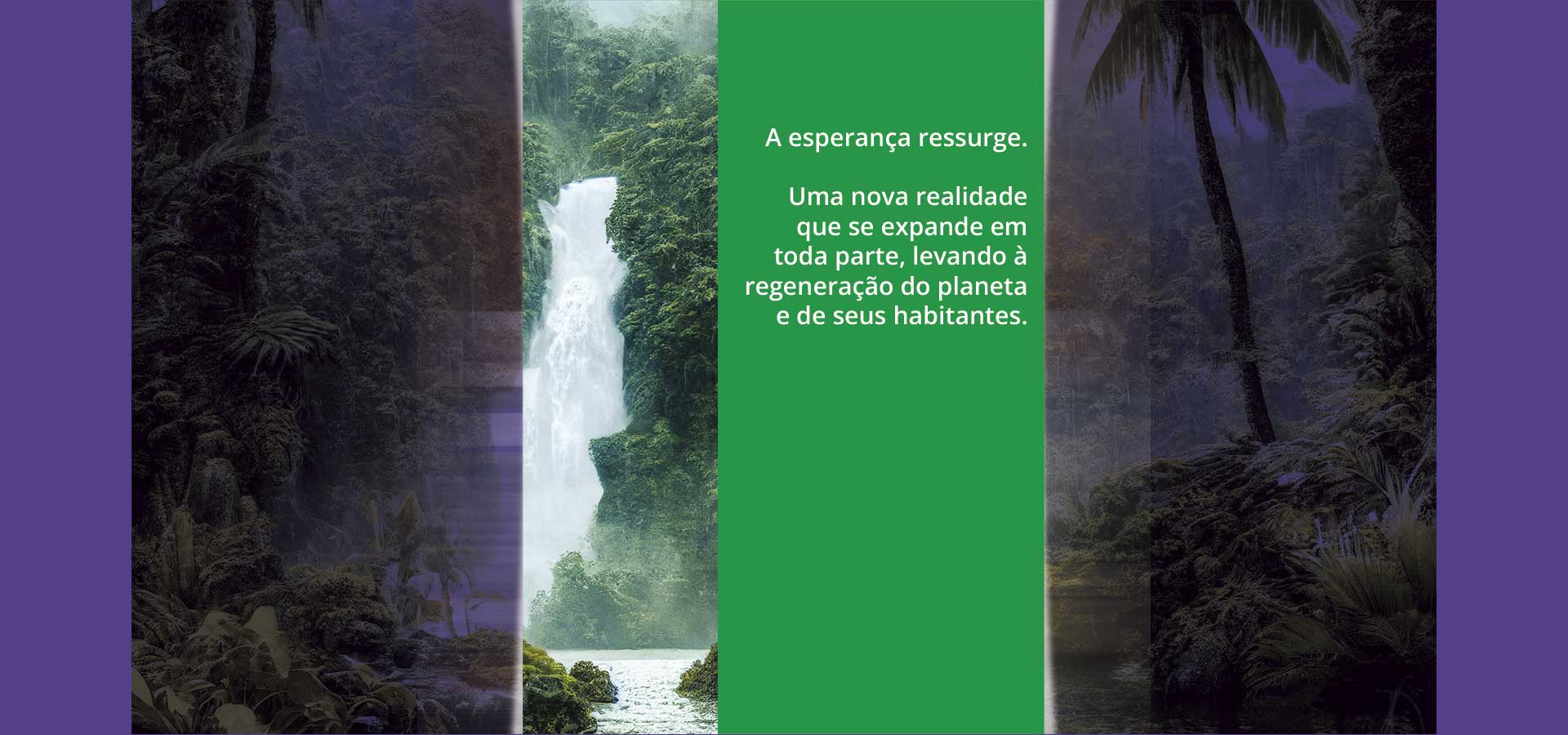 A Esperança ressurge.